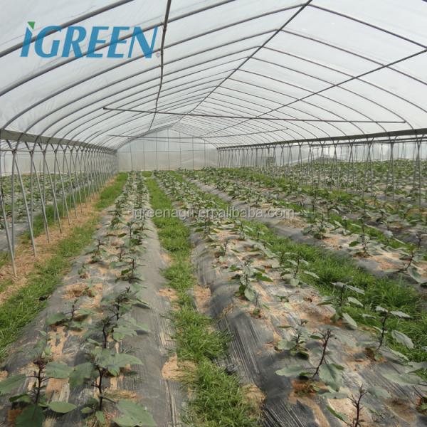 Commercial Large Single Layer Film Greenhouse with Cooling Pad Fan Internal External Shading Drip Irrigation Hydroponics System