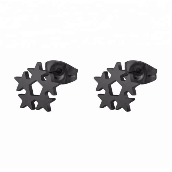 Customized Earring Surgical Stainless Steel Titanium Silver Gold Black Plated Star Stud Earrings