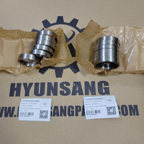 Les pièces de rechange de moteur de camion de Hyunsang révisent Kit For WD615