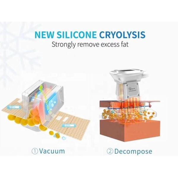 Effective Cryolipolysis Slimming Machine , 4 - Handle Body Fat Freezing Machine