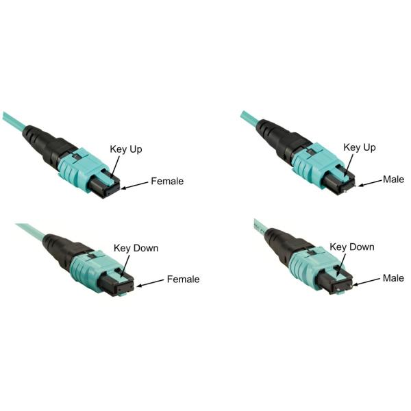 Duplex LC Connector FTTX 5m MPO Breakout Patch Cord LSZH