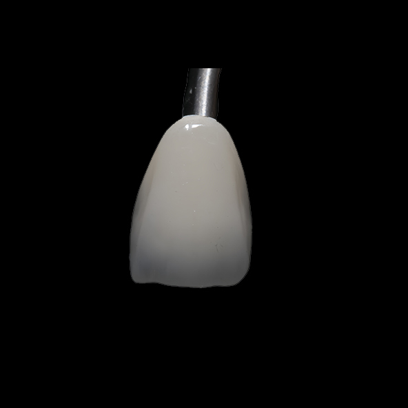 Dental PFM Crown And Bridge Customizable With CoCr Ceramic Materials