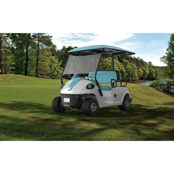 Hot Sale4 Seats Mini Electric Golf Cart
