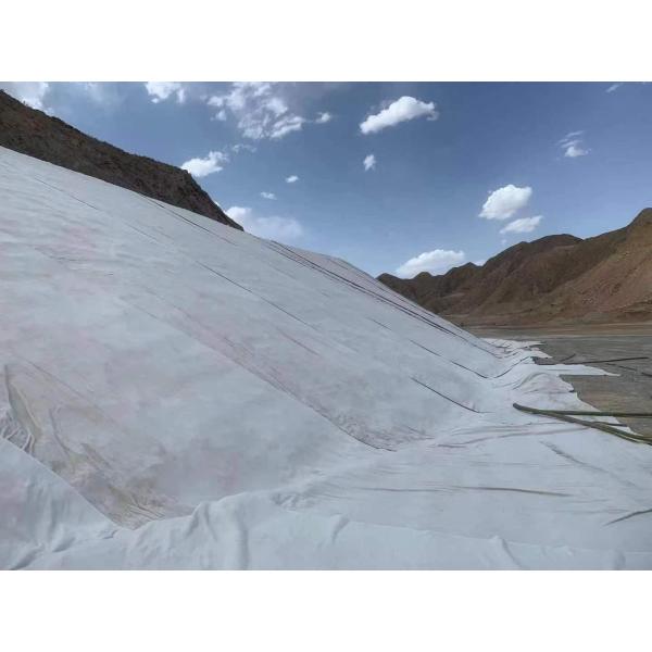 Compactness Advantage1 Bentonite Geosynthetic Clay Liner for Waterproof Performance