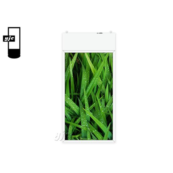 43″ Sunlight Readable Wall Mounted Digital Signage