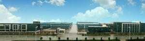 CEDAR GLOBALLIMITED
