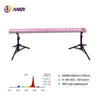 Dimmable LM301H EVO LM281B 730nm 660nm Red LED Grow Light 4Ft 120W 150W