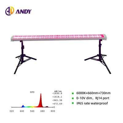Dimmable LM301H EVO LM281B 730nm 660nm Red LED Grow Light 4Ft 120W 150W