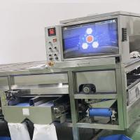 Machine de tri des pistaches certifiée CE à haut rendement 98% de précision 1100 kg de sortie
