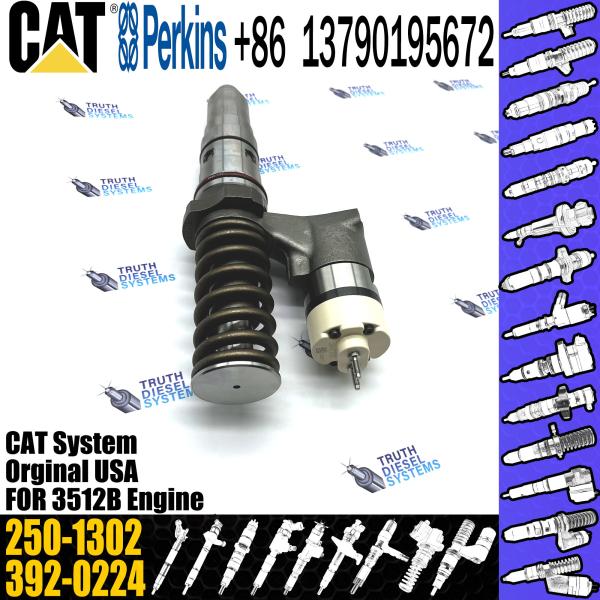 CAT Fuel injector 250-1302 2501302 10R-1303 10R1303 engine spare parts fuel injector nozzle