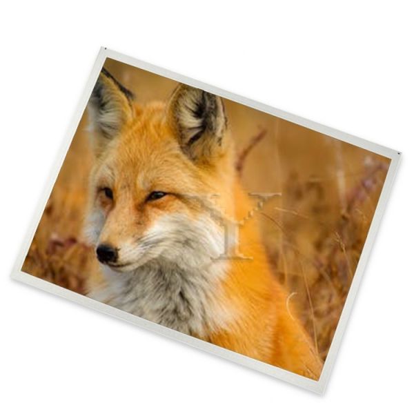 A-Si TFT-LCD 8 Inch 800(RGB)*480 New and Original TX20D18VM2BPA Quality Service Panel Lcd