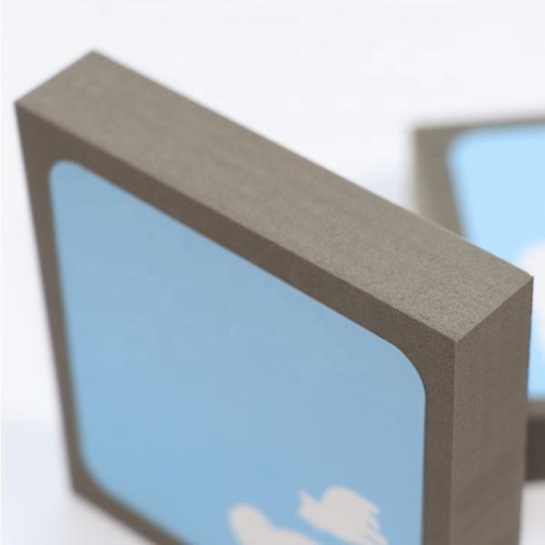 Reusable Pet Cleaning Tools Self Cleaning Pet Hair Removal Sponge Customized