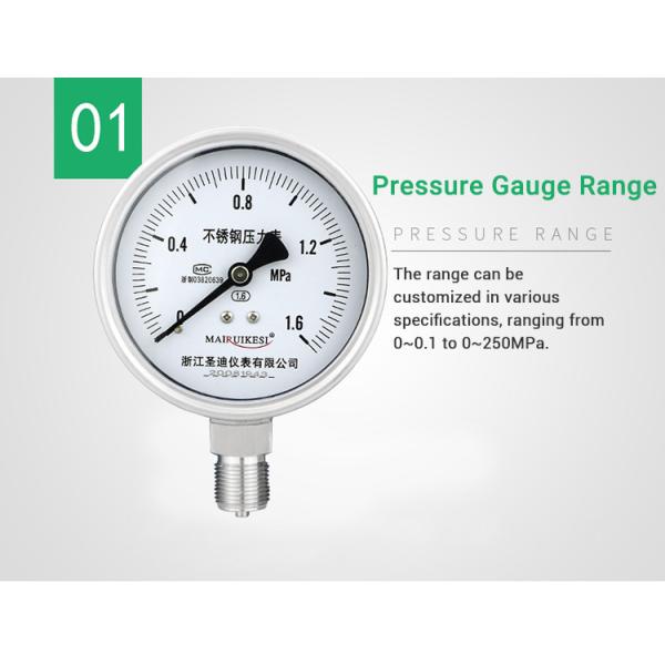 Customized Stainless Steel Pressure Gauge for OEM Mpa Scale LPG 100mm Pressure Test Gauge