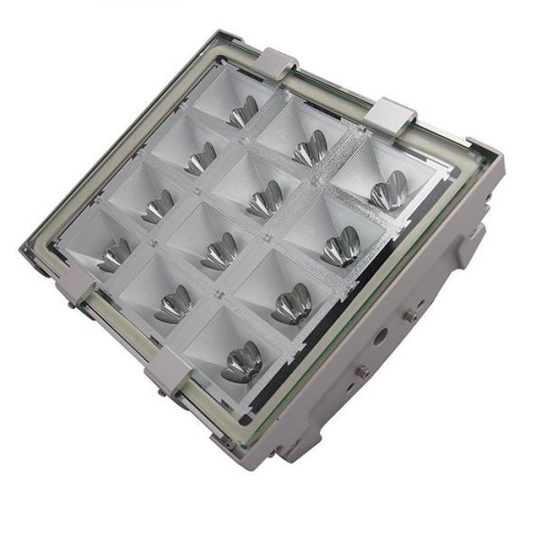 Industrial Anti Corrosion 60W IP66 LED Explosion Proof Light Fixture with Input Voltage