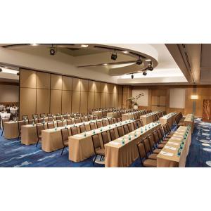 Sound Proof Insulation Acoustic Partition wall Operable For Conference Hall