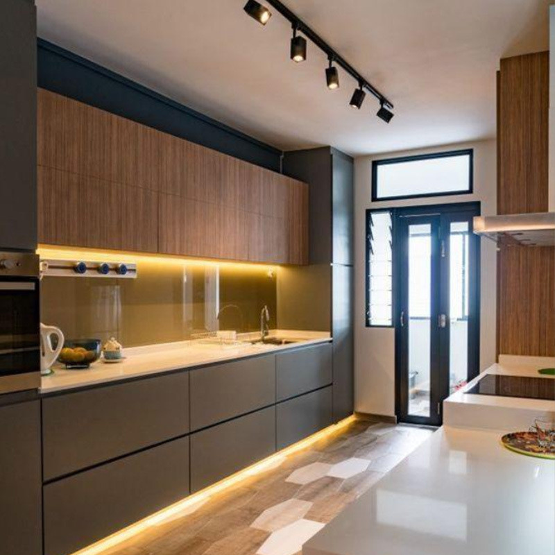 Modular Kitchen Cabinets Customized with Matte Finish and Quartz Stone Countertops