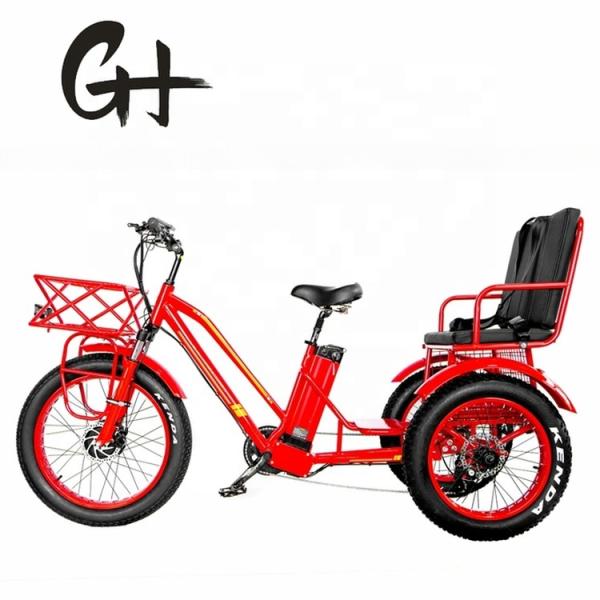 750W Central Motor Fat Tire Electric Rickshaw with Aluminum Carrier and Passenger Seat