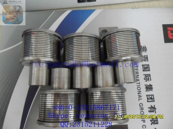 Water Filter Bottom Nozzle, Wedge Wire Strainer Top Nozzle, Stainless Steel Johnson Screen Nozzle