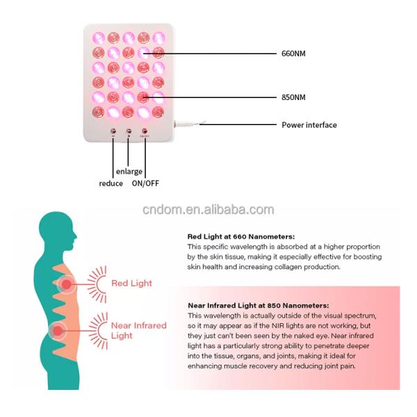 24W Adjustable Red Light Therapy Beauty Device for Anti-Aging and Skin Rejuvenation