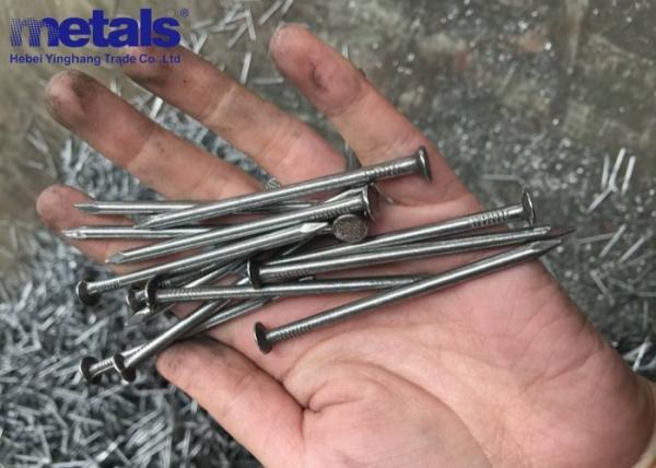 Polished Carbon Steel Common Wire Nails for Construction