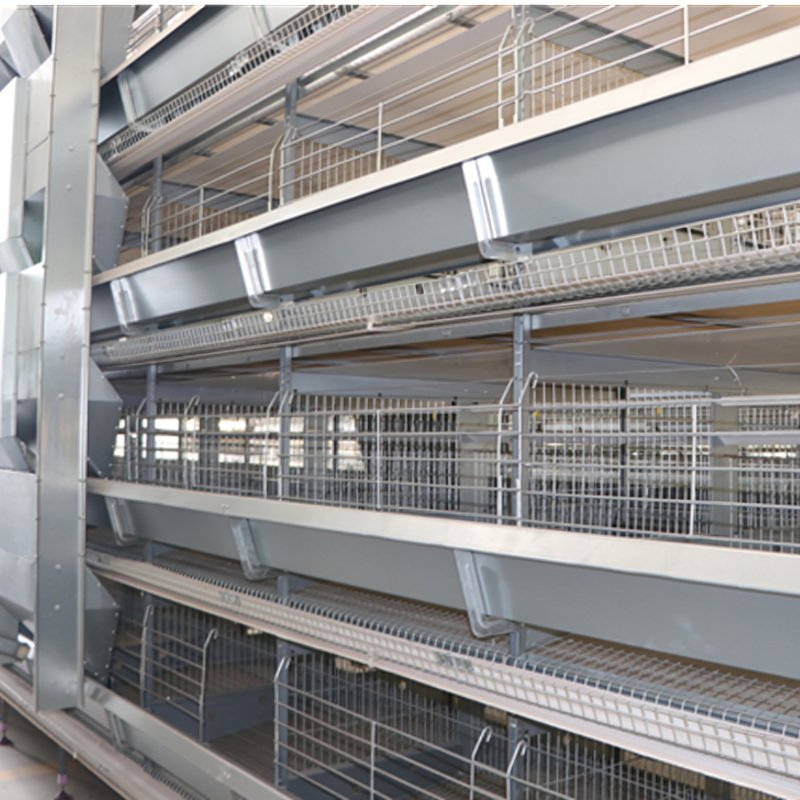 Customized Size A Type Layer Cage Automated Layer Breeding Cage For Poultry Farming