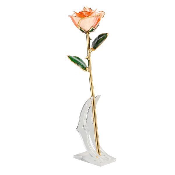24k Gold Plated  Rose  Preserved Fresh Flower  Wholesale Preserved Rose Manufacture Directly Supply