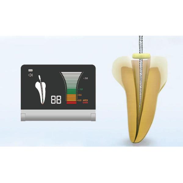 Endodontic мотор 100V-240V с локатором вершины, портативным локатором вершины и Endo мотором