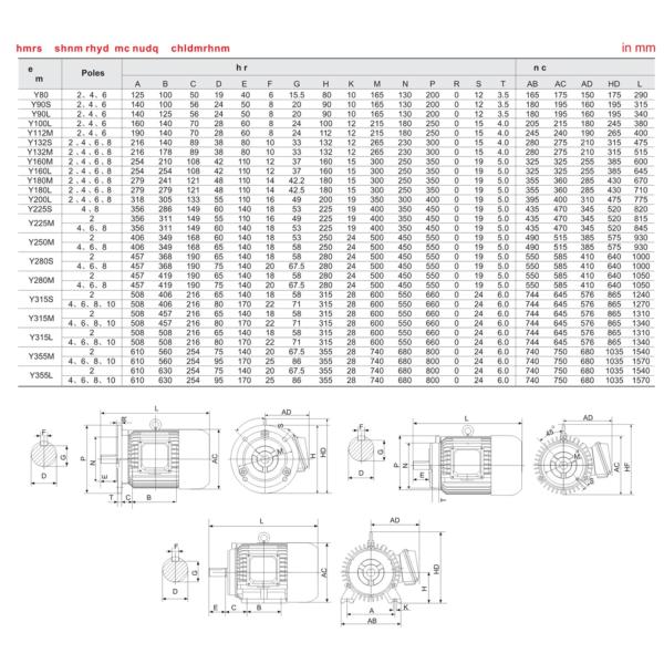 Асинхронный двигатель 8 поляков трехфазный с телом мотора литого железа для машины еды