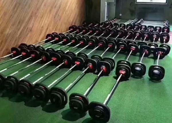 A placa do Barbell da aptidão ajustou a barra da técnica do halterofilismo da barra do exercício do corpo da boca do crocodilo
