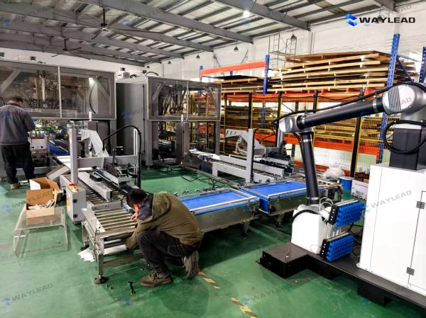 Pillow Packing Machine with 120-300 mm Package Length 35-80 mm Package Width and 3.1 KW Power for Automatic Bagging and Sealing