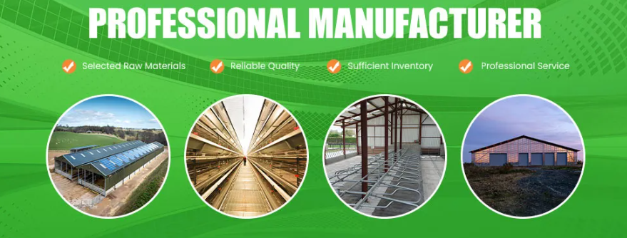 Low Maintenance Cost Prefabricated Steel Structure Poultry House with Suitable Temperature Control