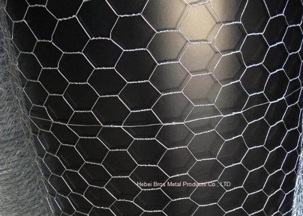 Durable Electro Galvanized Gabion Wire Mesh Fence / Rabbit Wire Netting