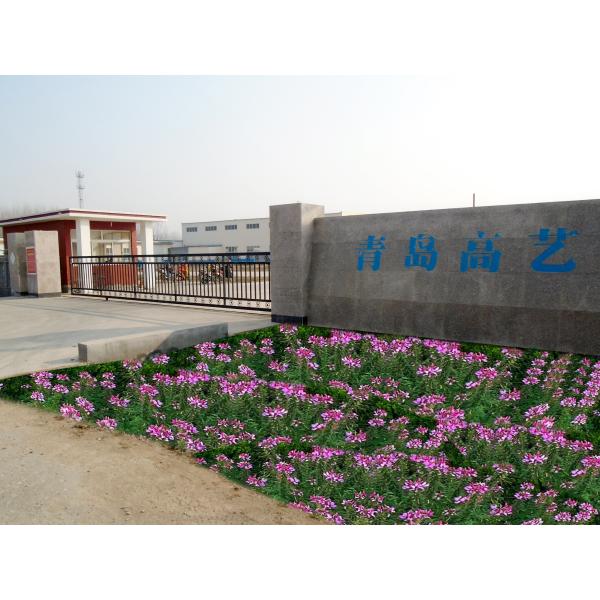 Модный дизайн Пластиковое и стеклянное зеркало Стоящее настольное макияж зеркало для путешествий