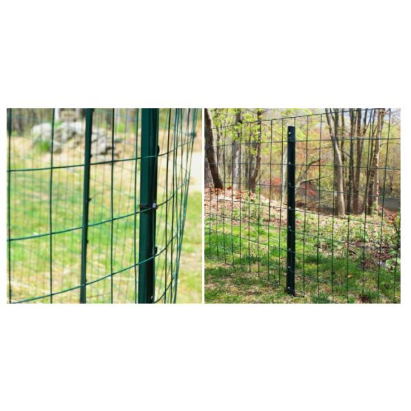 Ячеистая сеть крена квадрата 1x15m загородки Aviary сваренная Ss