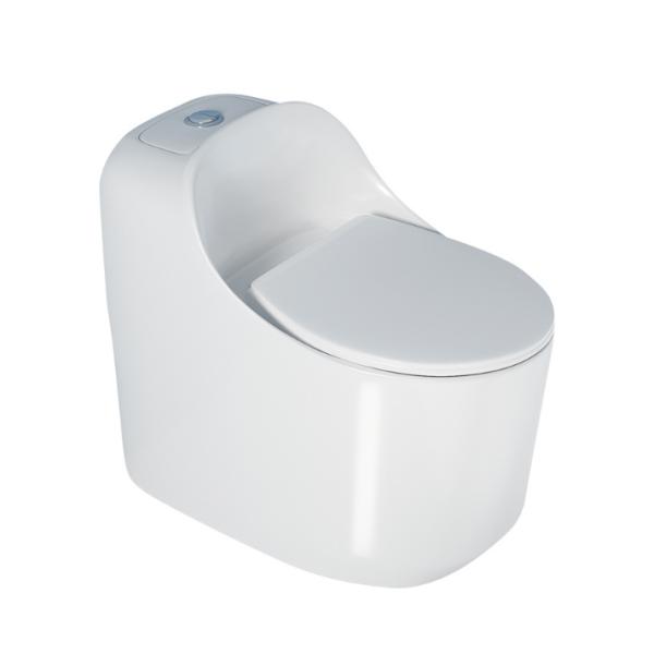 Slowly Closing Seat Cover One-Piece Elongated Non-Electric Toilet for American Market
