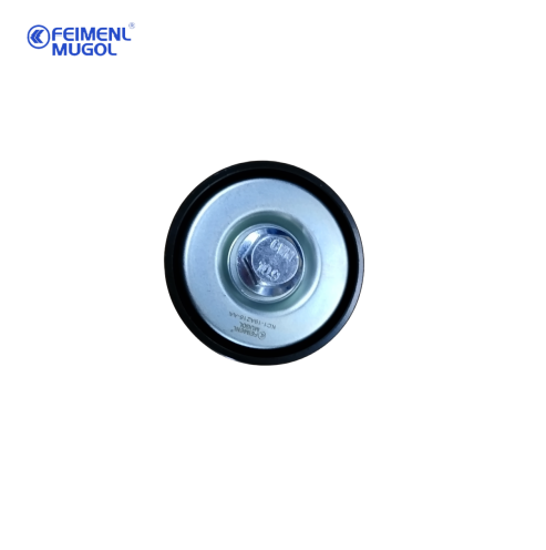 Pulle de tension de ceinture d'alternateur pour Ford Transit / TeShun