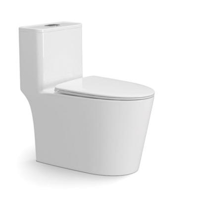 Modern Ceramic One Piece Toilet 700*390*720mm Wider S Trap Siphon Flushing