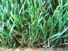 UV Resistant Pet Synthetic Grass Turf For Indoor / Outdoor , 25mm Artificial Grass