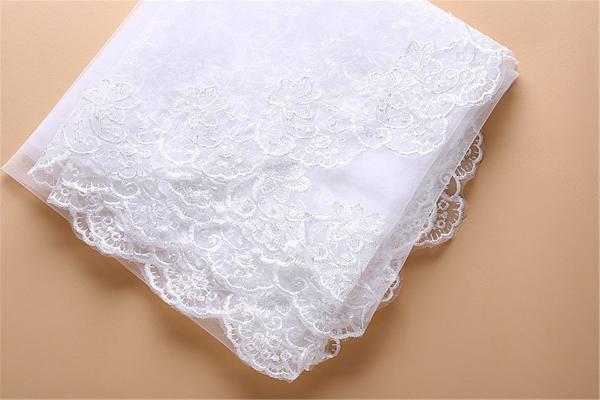 Embroidery Cord lace with Rhinstone  Ivory/White Bridal Veil  Wedding Accessories