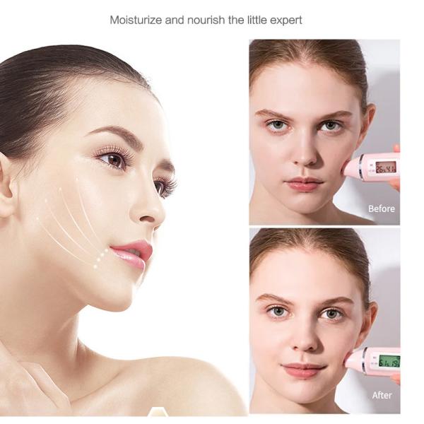 Cuidados com a pele coreanos da pétala das máscaraes protetoras de MSDS que hidratam clareando a máscara facial da folha