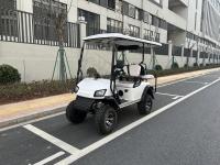 Véhicule utilitaire électrique tout-terrain Golf Buggy avec certification et pas moins de 80 km d' autonomie 12 pouces roue