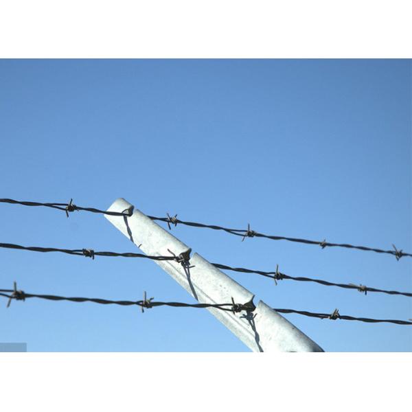Защита фермы Одноцепочечная оцинкованная проволока из стальной колючей проволоки