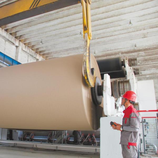 Papel de marfil antiarrugas 210/230/250/270/300gsm FBB/GC1/C1S con celulosa química y estándar