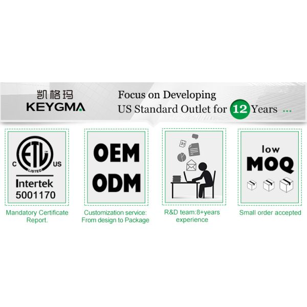 ETL/FCC Certified WiFi Smart Wall Socket with 10A Max Current and Durable ABS & PC Material