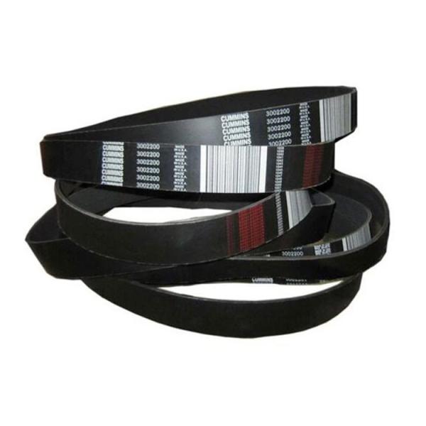Moteur Cummins partie V ceinture à nervures 3002200 Moteur Cummins K19
