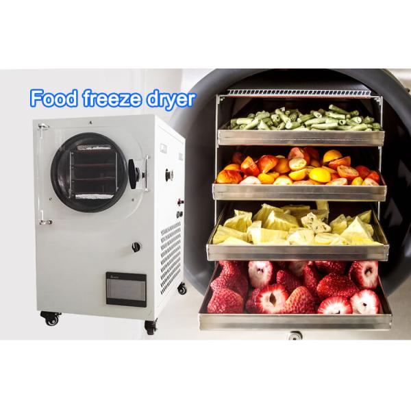 Toption Freeze Drying Equipment 1000W Freeze Dry Machine For Home