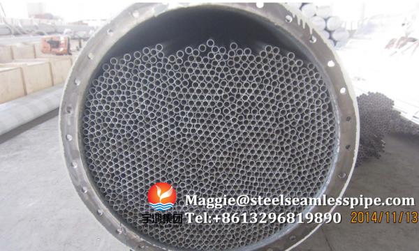 ASTM A789 UNS S32250 Tubos duplex sem costura de aço inoxidável para tratamento de água