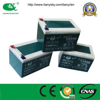 12V14ah Maintenance Free Battery Pack/VRLA Gel Battery for Electric Bicycle