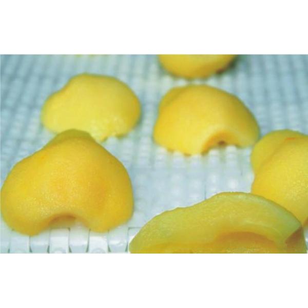 Ремень пластмассы/ Промышленный конвейер с металлоискателем для пластмассы/ резиновой конвейер