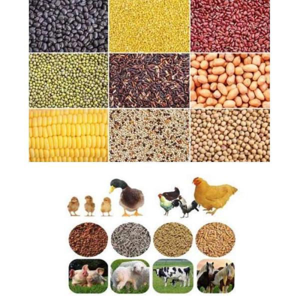 кольцо производственной линии лепешки корма для животных 500kg/H умирает корм для животных мельницы лепешки питания птицы